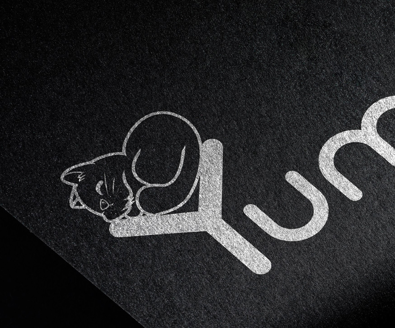 Long pazo - Logo mèo dễ thương